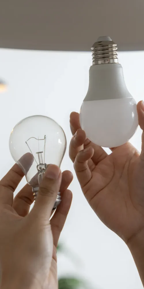 led lightbulb at WIREONE