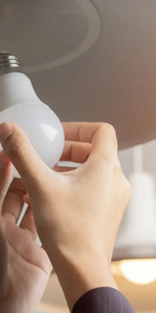 switching lightbulb at WIREONE