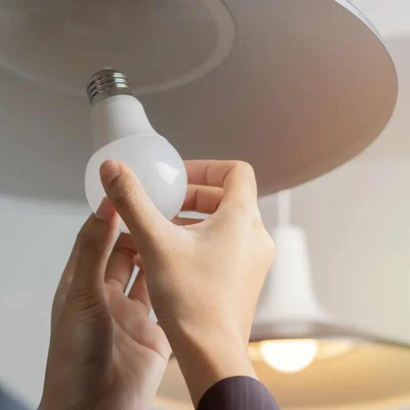 switching lightbulb at WIREONE